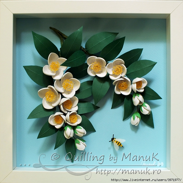 quilled-jasmine-flowers-in-a-shadowbox-frame (640x640, 279Kb)