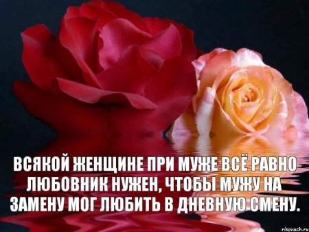  (450x337, 97Kb)