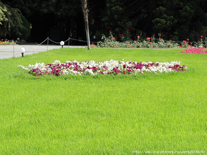 IMG_6757 (700x525, 407Kb)