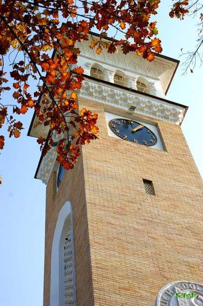 0_3b353_6a0349e1_-1-XL (399x600, 50Kb)