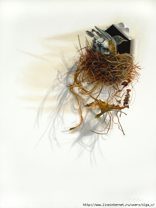 165-robin-nest-bird-painting (525x700, 203Kb)