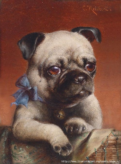 Carl-Reichert-XX-Young-Pug-XX-Private-collection (500x678, 247Kb)