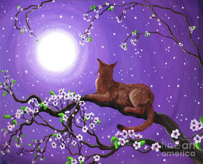 abyssinian-in-amethyst-moonlight-laura-iverson (700x567, 603Kb)