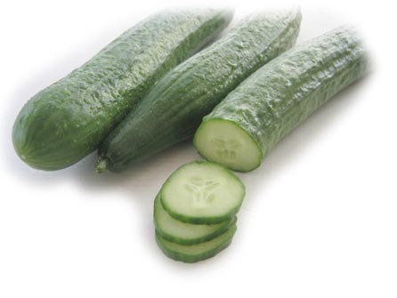 cucumber (446x335, 19Kb)