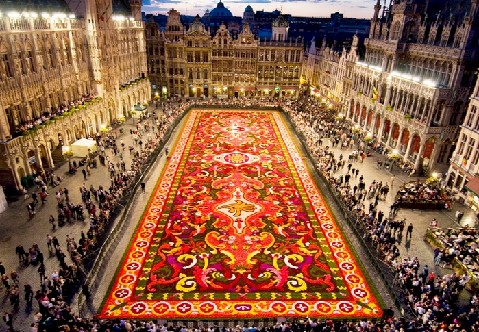 Цветочный ковер в Брюсселе1 (700x485, 390Kb)