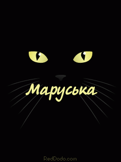         VsyaAnimaciyaru (64) (240x320, 73Kb)