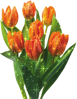 tulips-sm (2) (155x200, 39Kb)