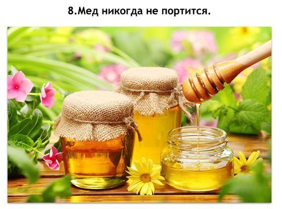 http://img0.liveinternet.ru/images/attach/b/4/113/960/113960732_3856133_t3aXu8xctg0.jpg