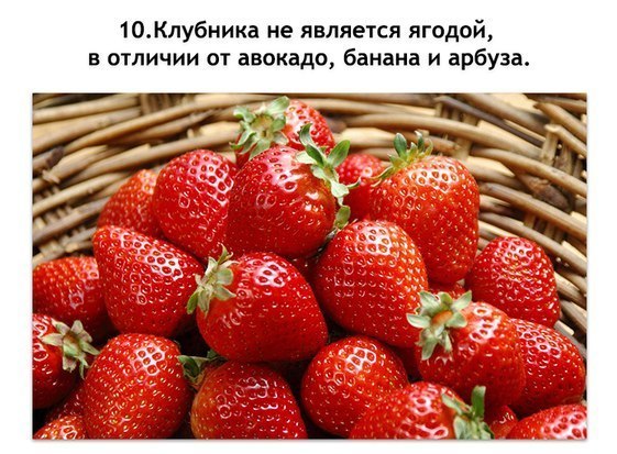 http://img0.liveinternet.ru/images/attach/b/4/113/960/113960734_3856133_aP88eYXSky0.jpg