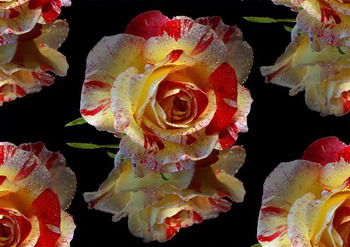 0_87e91_8596bfaf_L (350x247, 104Kb)