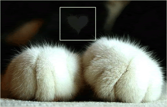 j (543x350, 142Kb)