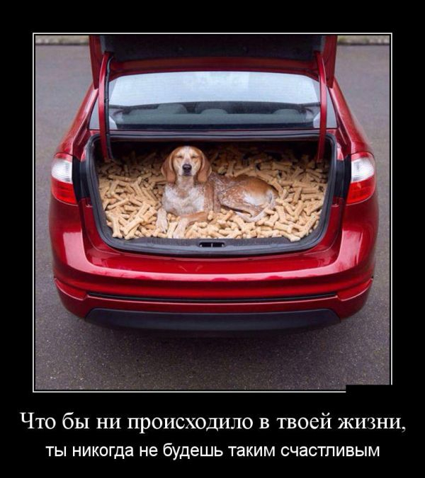 vesielie_demotivators_zapilili.ru_48 (600x675, 246Kb)