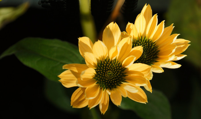013_edited-2 (700x417, 73Kb)