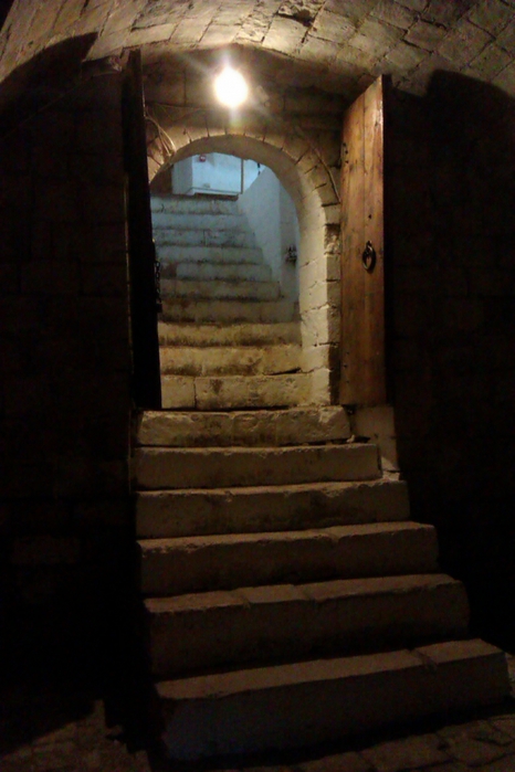 4809789_IMAG0584_1_ (466x700, 214Kb)