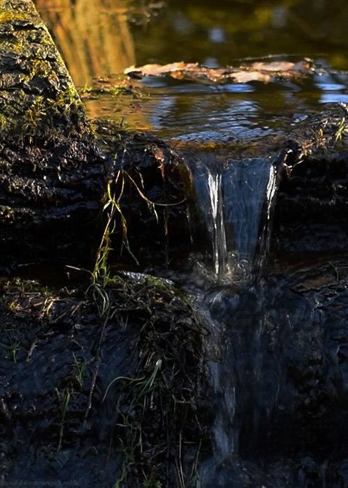 1396191071_pesochnica-gif-priroda-1150760 (500x700, 1021Kb)