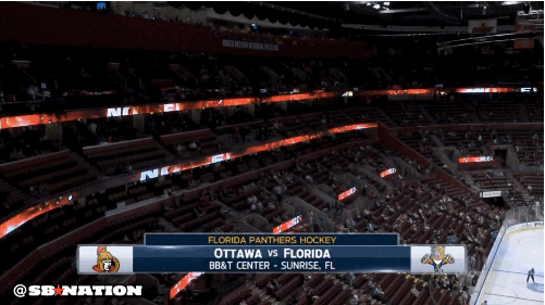 panthers_crowd.0 (501x281, 2150Kb)