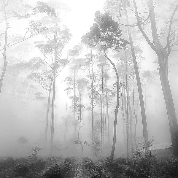 1082096659 (600x600, 279Kb)