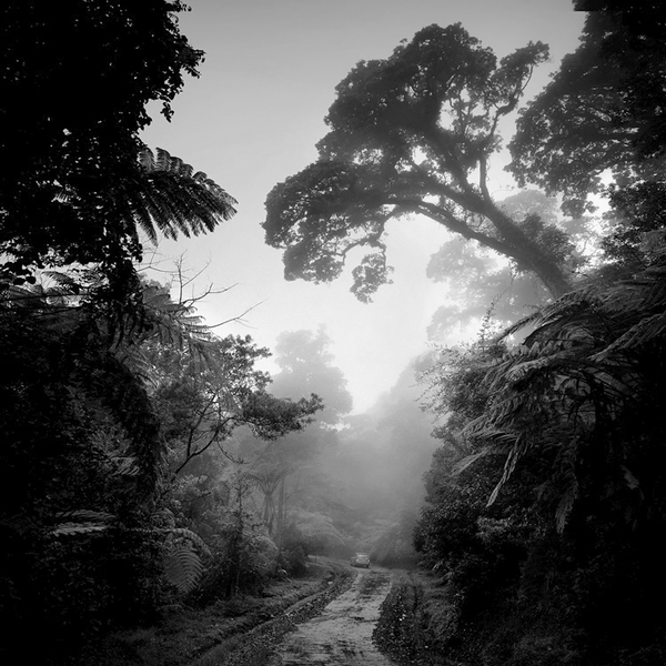 1082096705 (600x600, 271Kb)