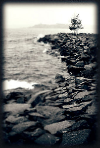  (341x500, 36Kb)