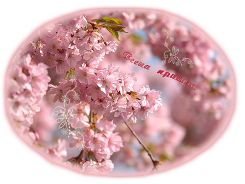   2 (500x376, 284Kb)