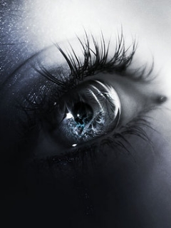 (240x320, 39Kb)