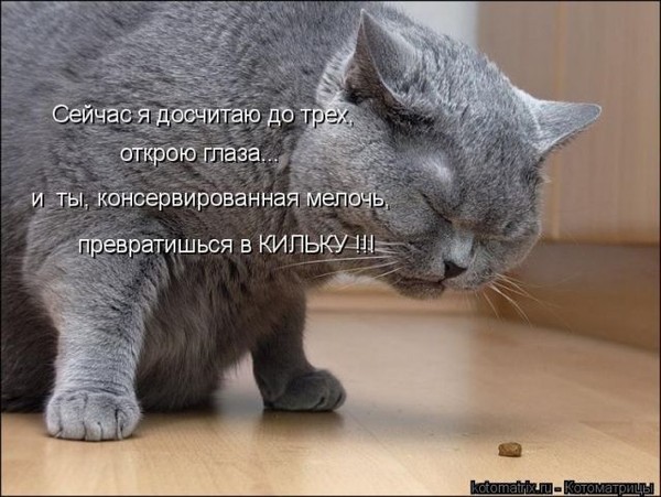 (600x451, 74Kb)