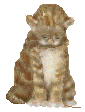  (85x112, 32Kb)