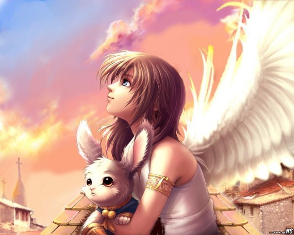  (600x480, 46Kb)