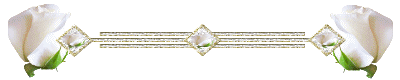  (400x80, 8Kb)