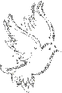 g0502 (89x134, 3Kb)