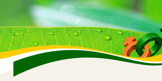  (520x262, 22Kb)