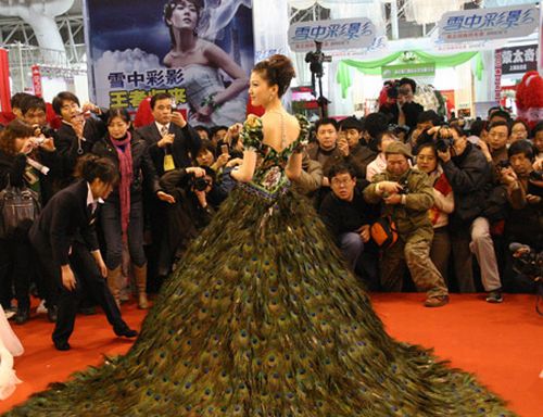 http://img0.liveinternet.ru/images/attach/c/0//42/686/42686005_1240033461_1240011625_peacock20dress4.jpg