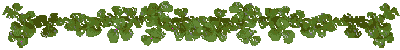  (400x50, 10Kb)