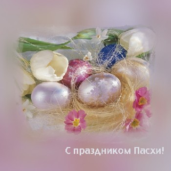 23682484_pic_20050425_145525 (400x400, 26Kb)