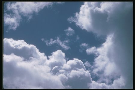  (450x300, 19Kb)
