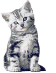  (178x234, 63Kb)