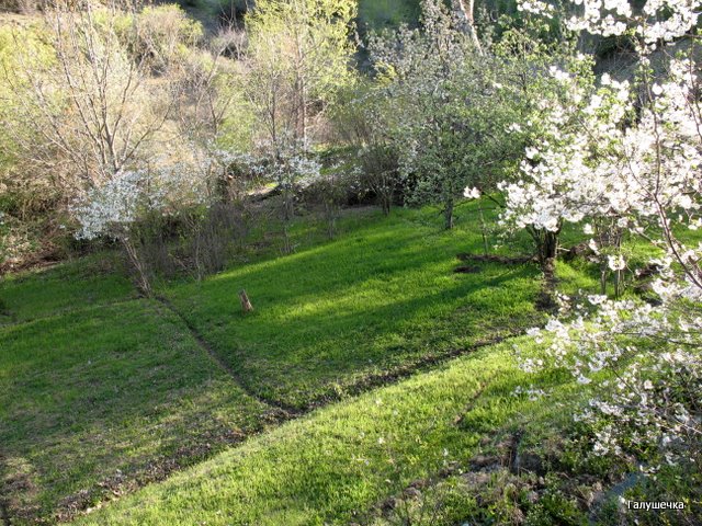 IMG_1257 (640x480, 137Kb)