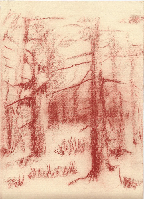  (505x698, 167Kb)