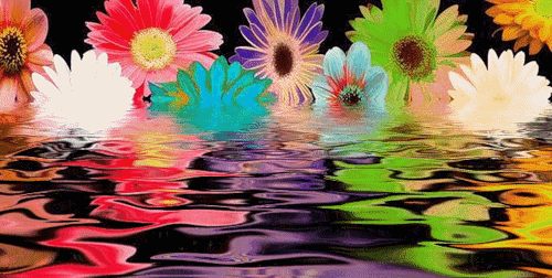  (500x252, 1124Kb)