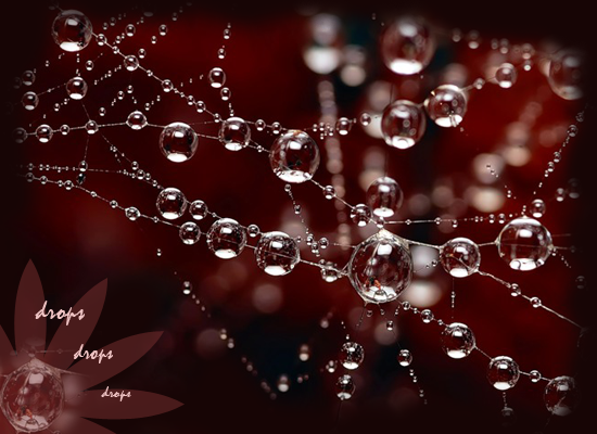 drops 3 (550x400, 307Kb)