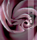  (130x139, 36Kb)