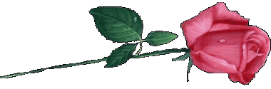  (380x125, 13Kb)