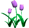  (104x100, 17Kb)