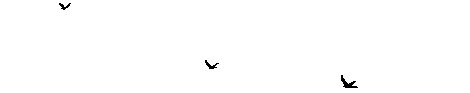 birds (470x93, 44Kb)