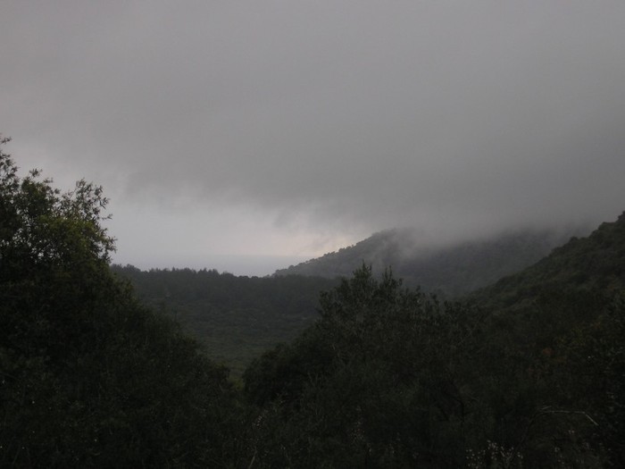  (700x525, 42Kb)