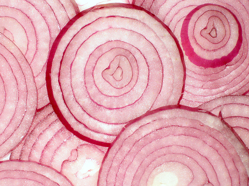 (500x375, 192Kb)