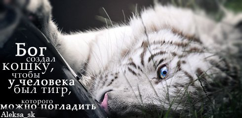 http://img0.liveinternet.ru/images/attach/c/0//43/196/43196660_1241011870_21.jpg