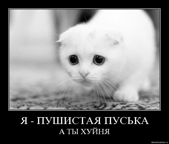 http://img0.liveinternet.ru/images/attach/c/0//43/207/43207005_purq8zhuhbtt2.jpg