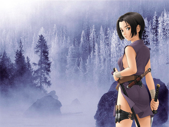  (700x525, 109Kb)