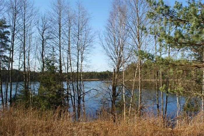 (700x466, 155Kb)
